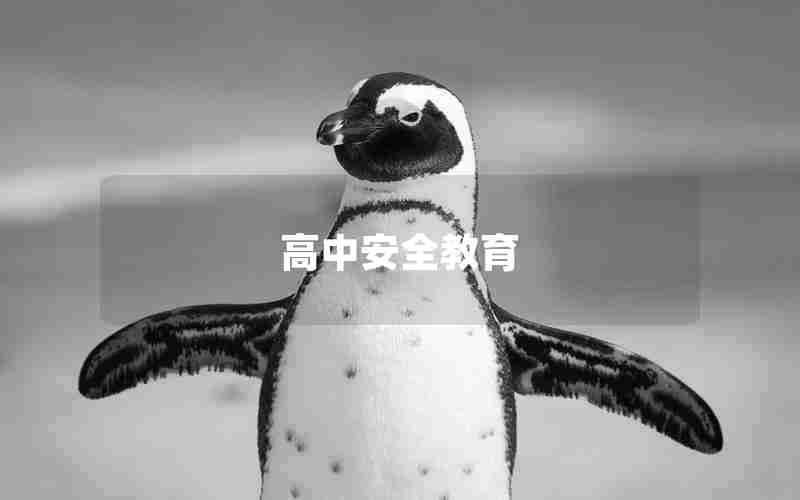 高中安全教育