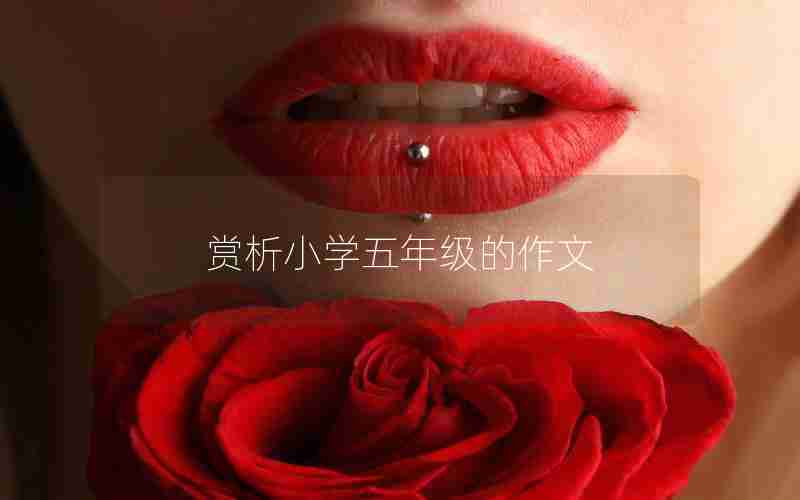 赏析小学五年级的作文