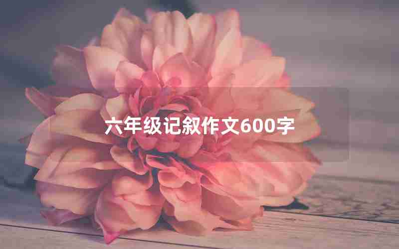 六年级记叙作文600字