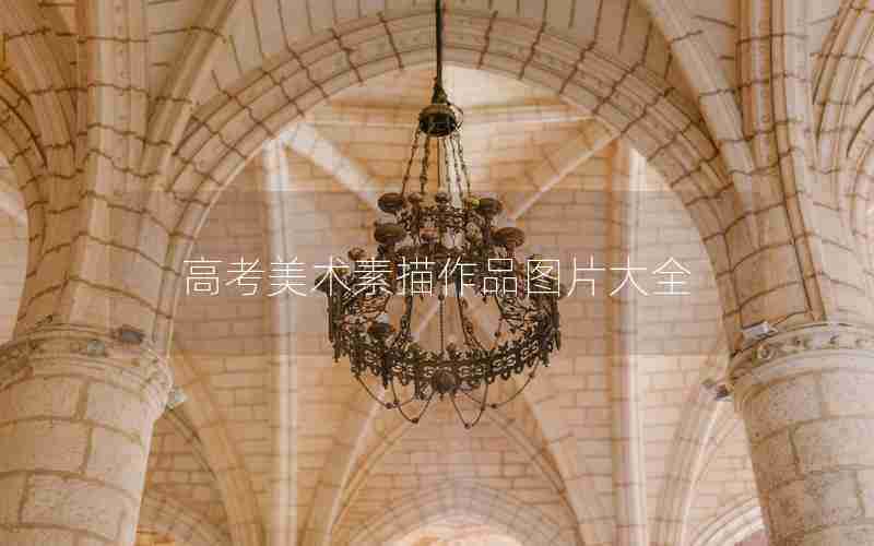 高考美术素描作品图片大全