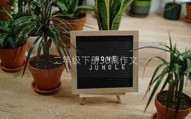 二年级下册30篇作文
