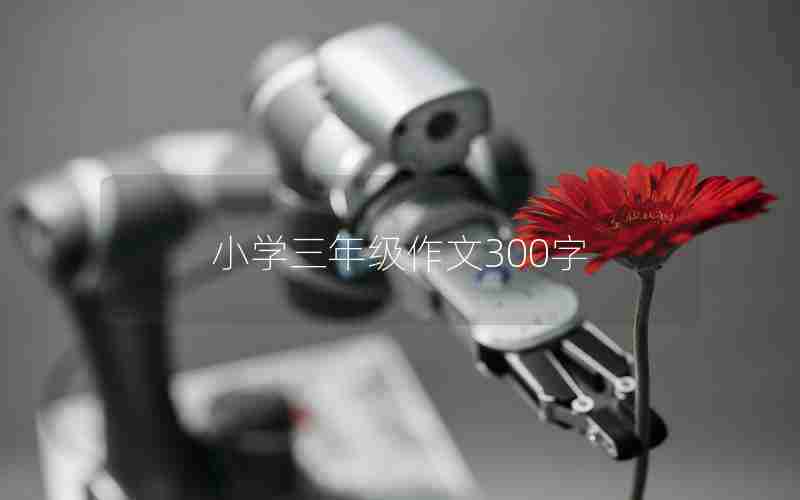 小学三年级作文300字