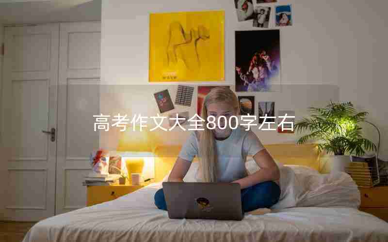 高考作文大全800字左右
