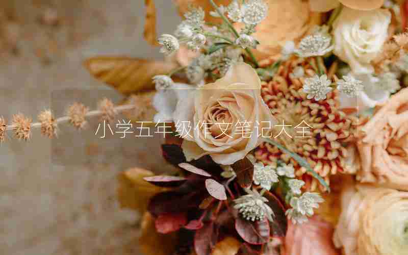 小学五年级作文笔记大全