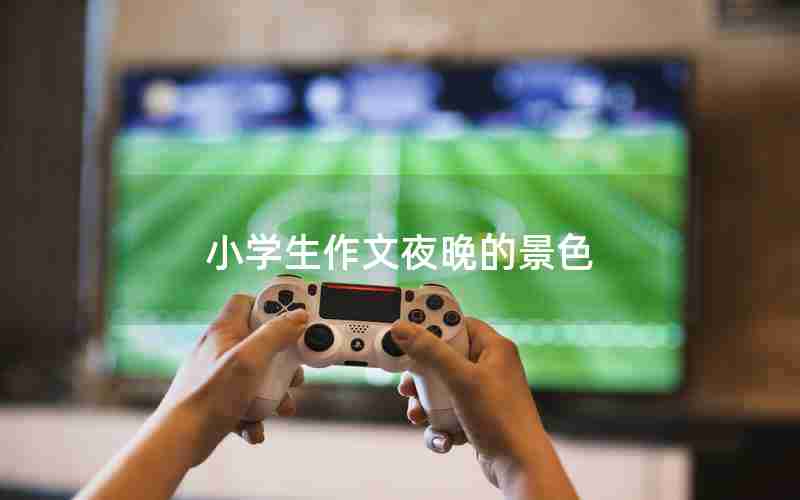 小学生作文夜晚的景色