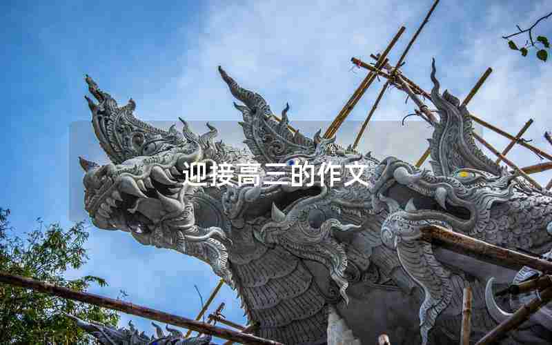 迎接高三的作文