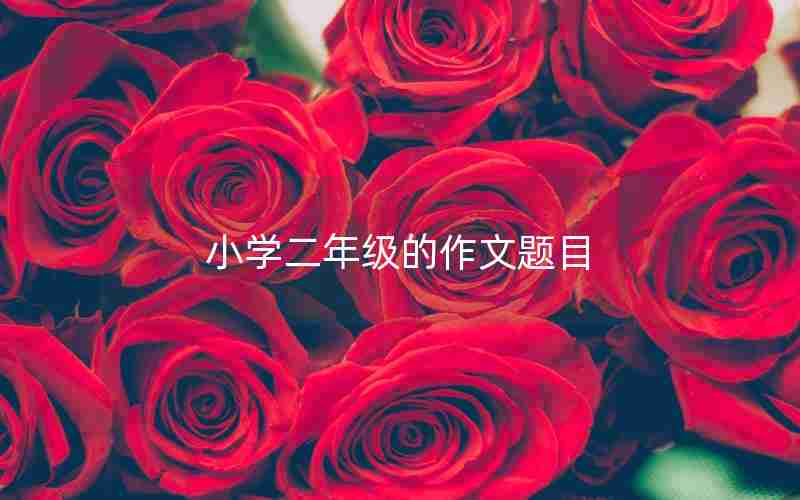 小学二年级的作文题目