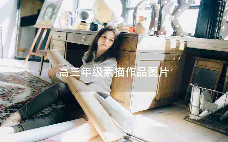 高三年级素描作品图片