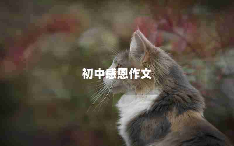 初中感恩作文