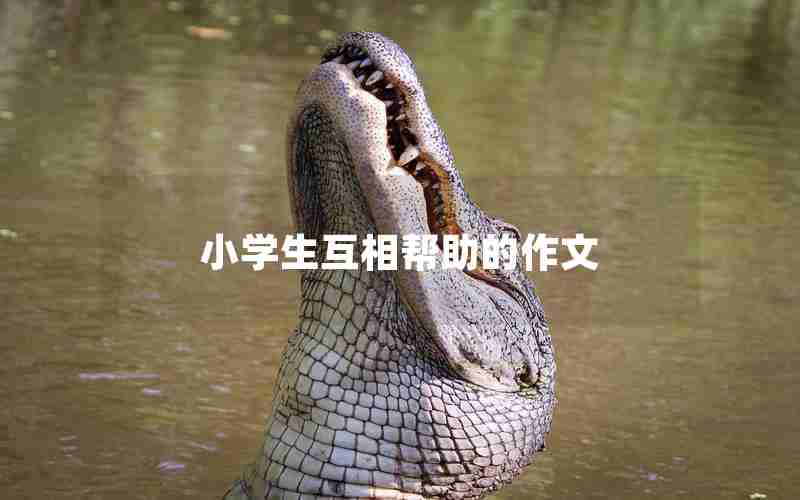 小学生互相帮助的作文