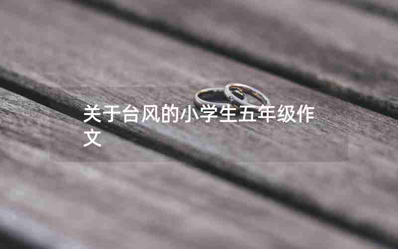 关于台风的小学生五年级作文