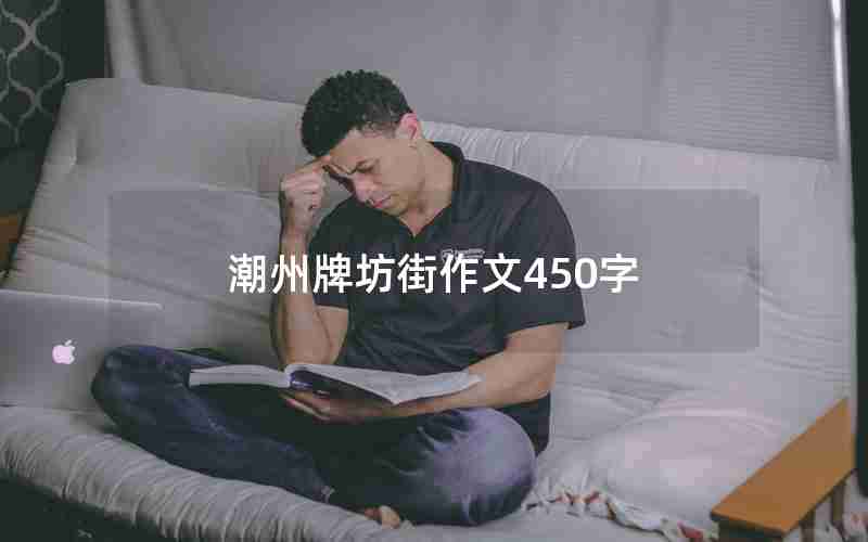 潮州牌坊街作文450字