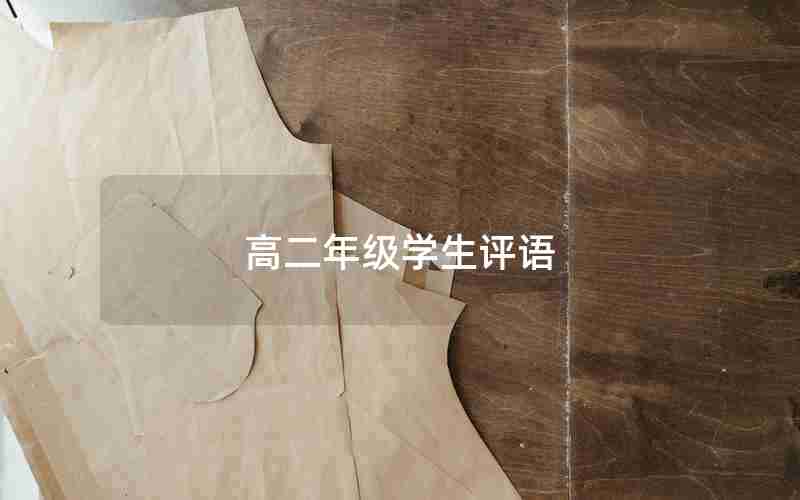 高二年级学生评语