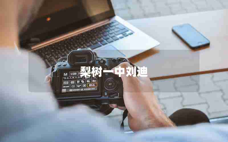 梨树一中刘迪