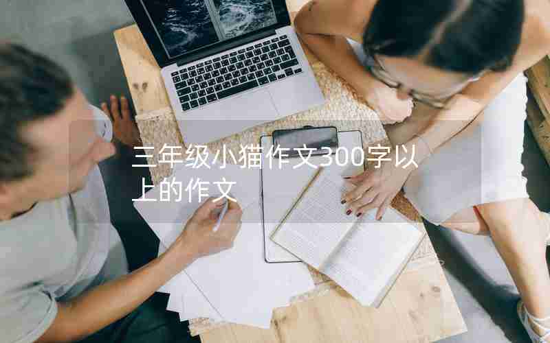 三年级小猫作文300字以上的作文