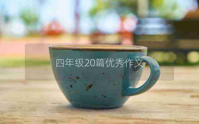 四年级20篇优秀作文