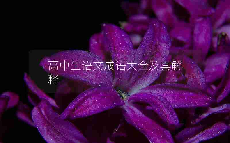 高中生语文成语大全及其解释