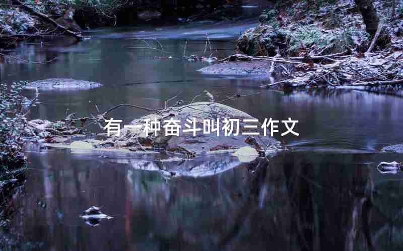 有一种奋斗叫初三作文