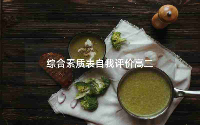 综合素质表自我评价高二