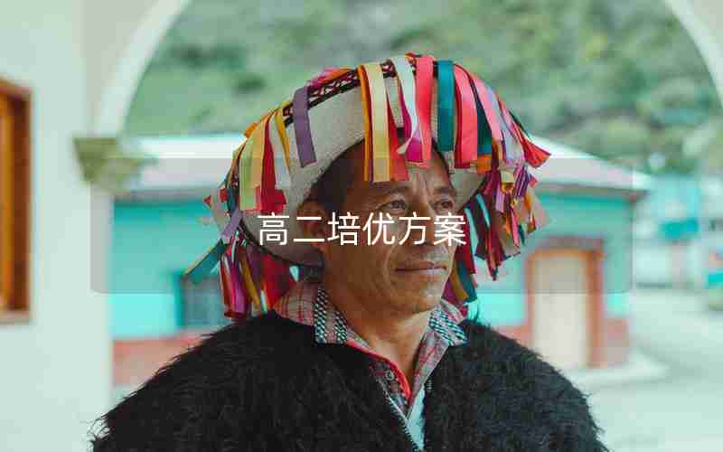 高二培优方案