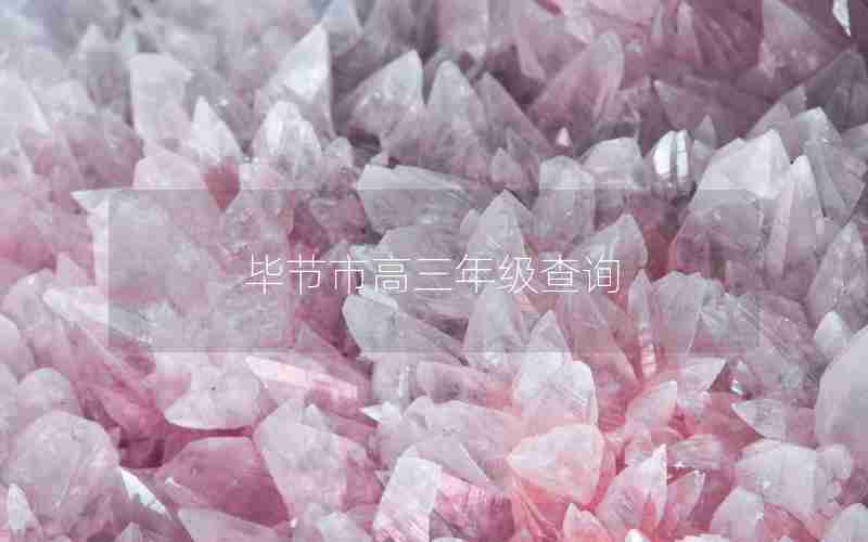 毕节市高三年级查询