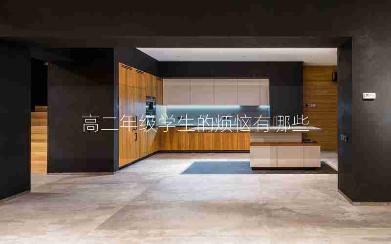 高二年级学生的烦恼有哪些
