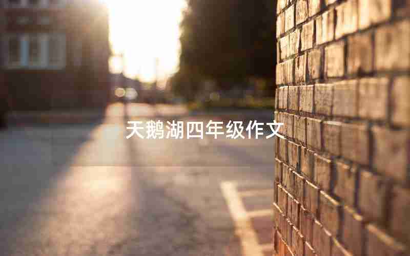 天鹅湖四年级作文