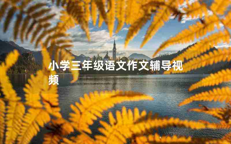小学三年级语文作文辅导视频