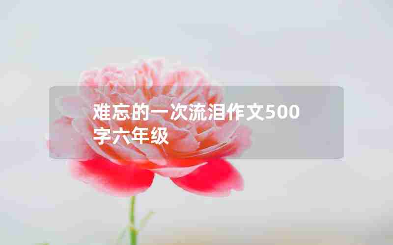 难忘的一次流泪作文500字六年级