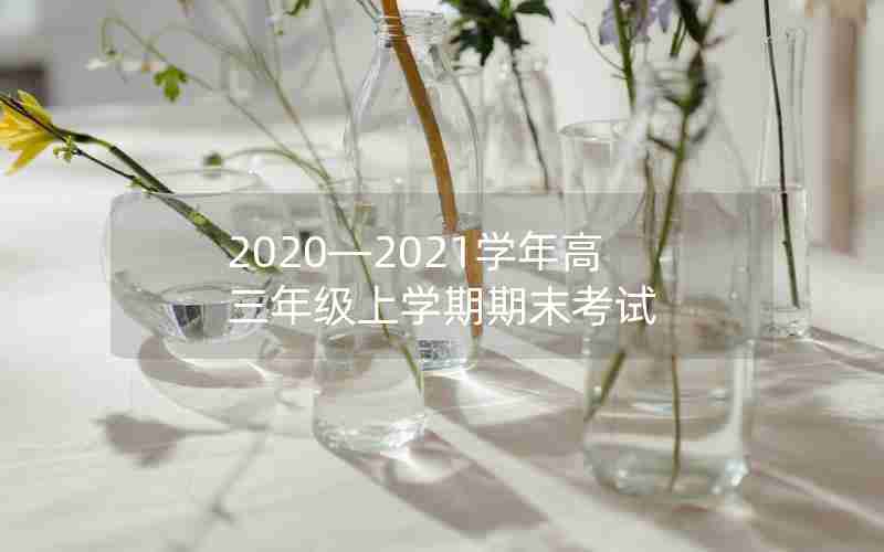 2020—2021学年高三年级上学期期末考试