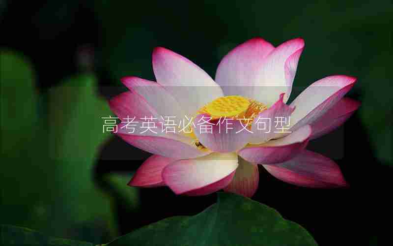 高考英语必备作文句型