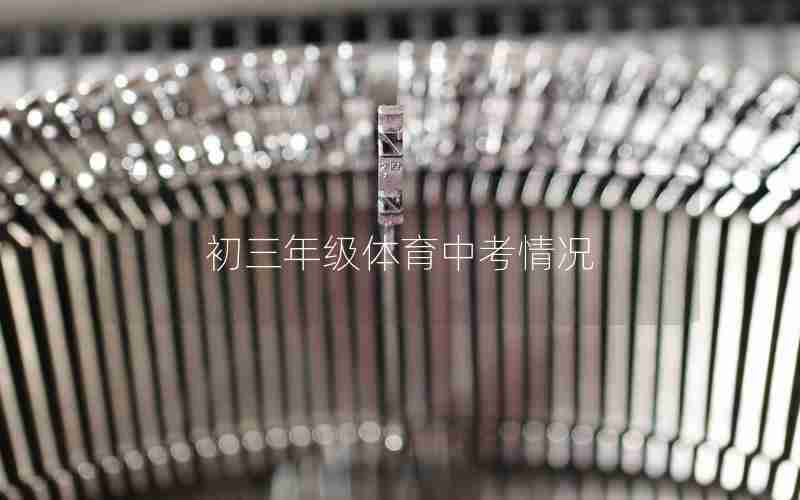 初三年级体育中考情况