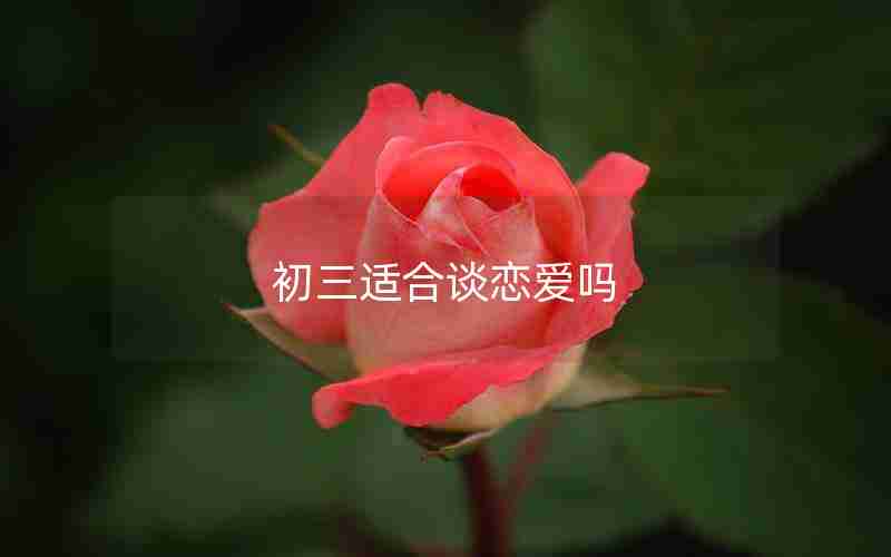 初三适合谈恋爱吗