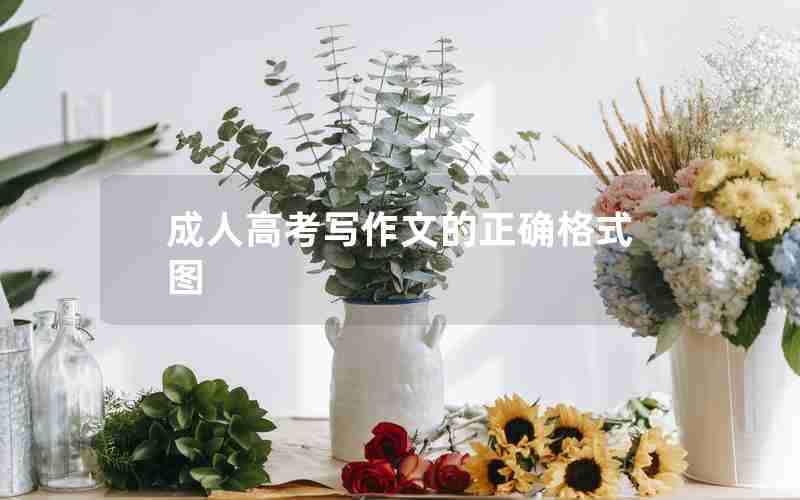 成人高考写作文的正确格式图