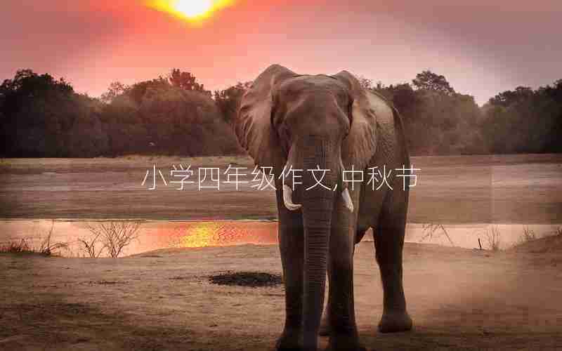 小学四年级作文,中秋节