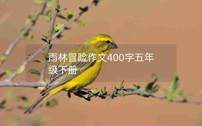 雨林冒险作文400字五年级下册