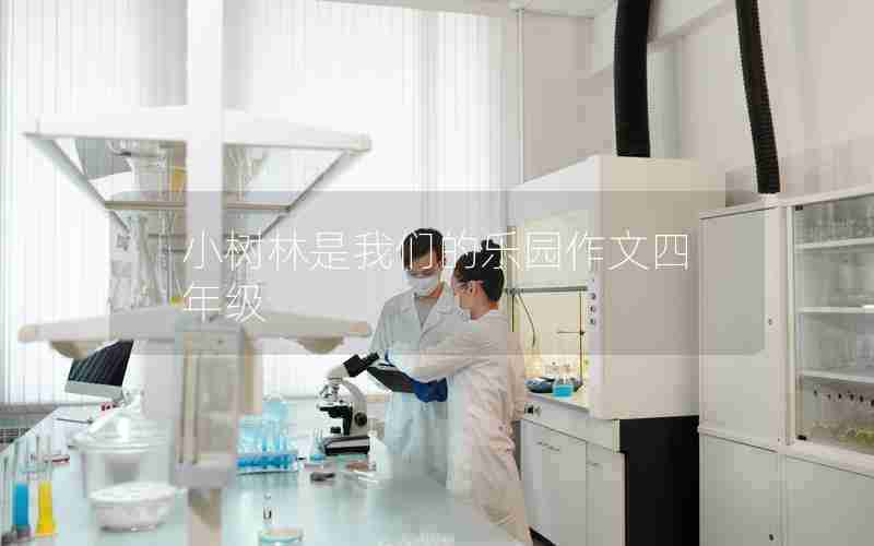 小树林是我们的乐园作文四年级