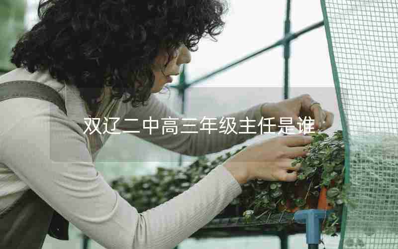 双辽二中高三年级主任是谁