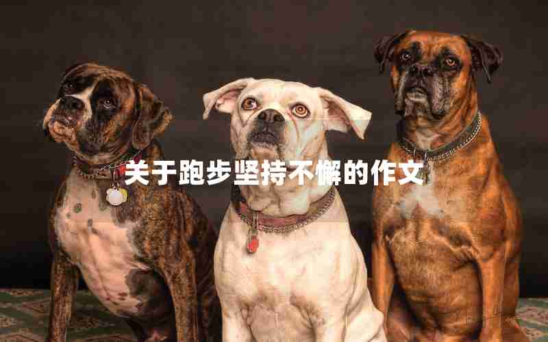 关于跑步坚持不懈的作文