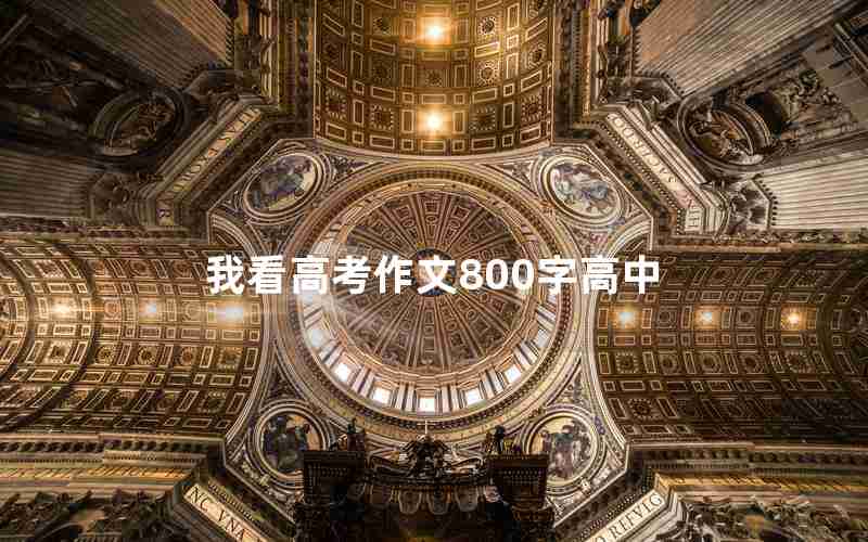 我看高考作文800字高中