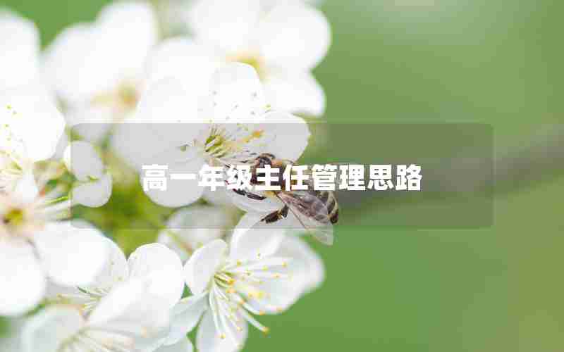高一年级主任管理思路