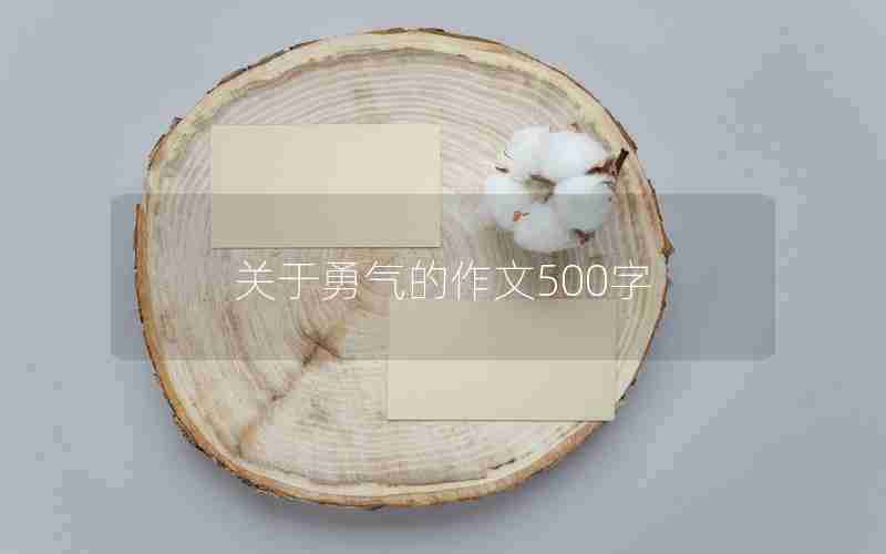 关于勇气的作文500字