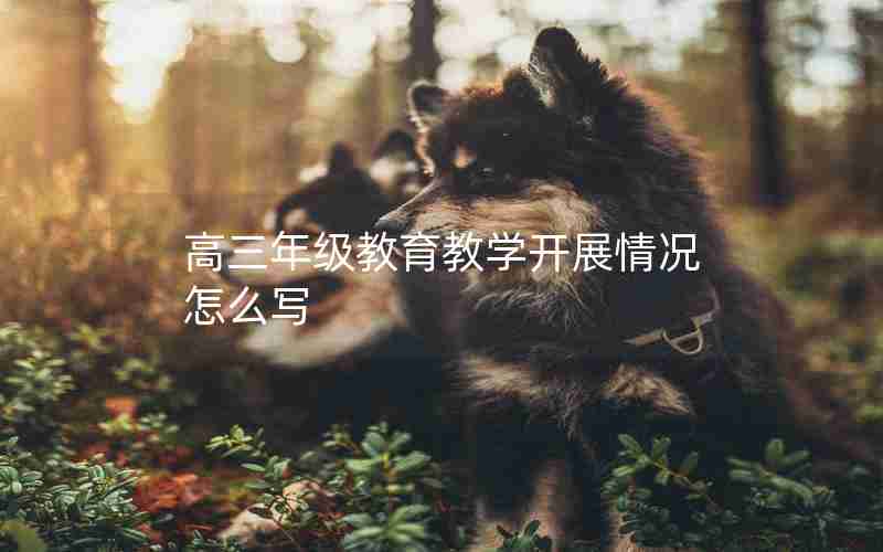 高三年级教育教学开展情况怎么写