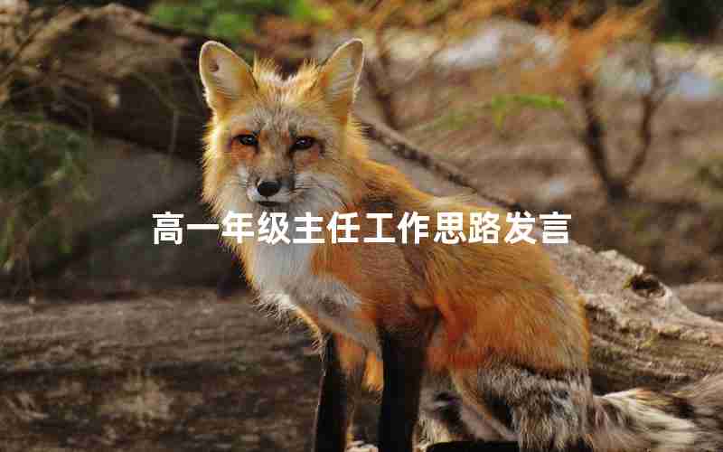 高一年级主任工作思路发言