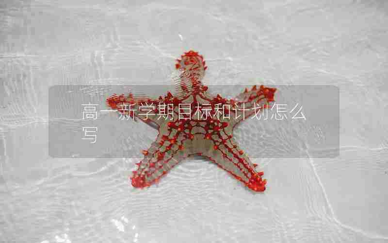 高一新学期目标和计划怎么写