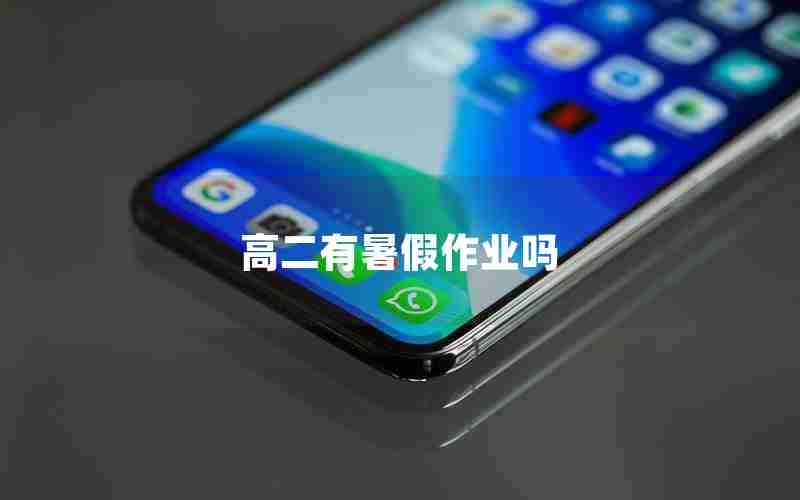 高二有暑假作业吗