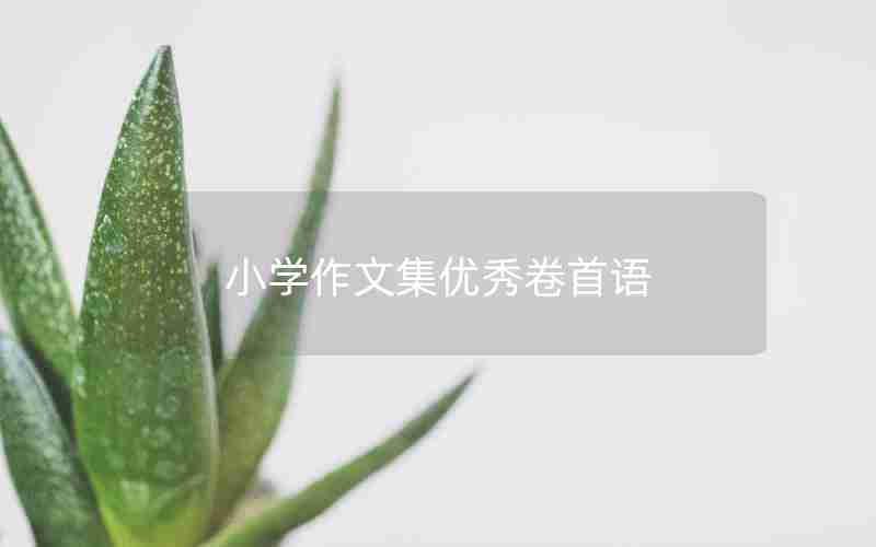 小学作文集优秀卷首语