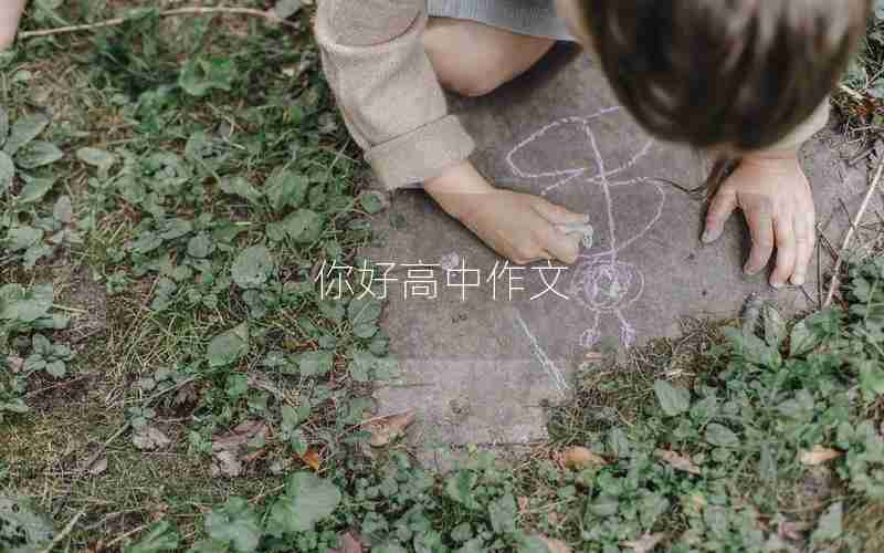 你好高中作文