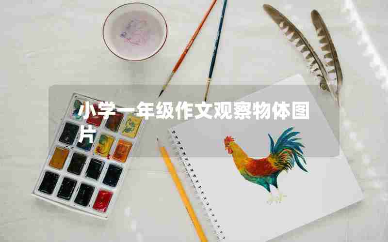 小学一年级作文观察物体图片