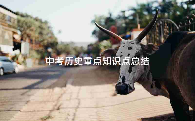中考历史重点知识点总结